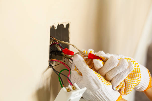 Best Electrical Panel Upgrades  in Del Norte, CO